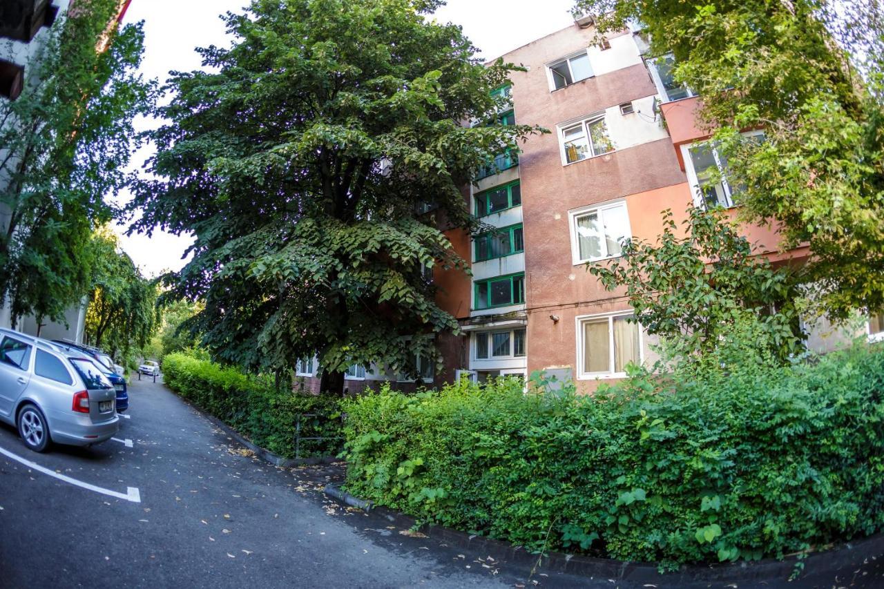 Apartament Family Rivulus 9 Baia Mare Extérieur photo